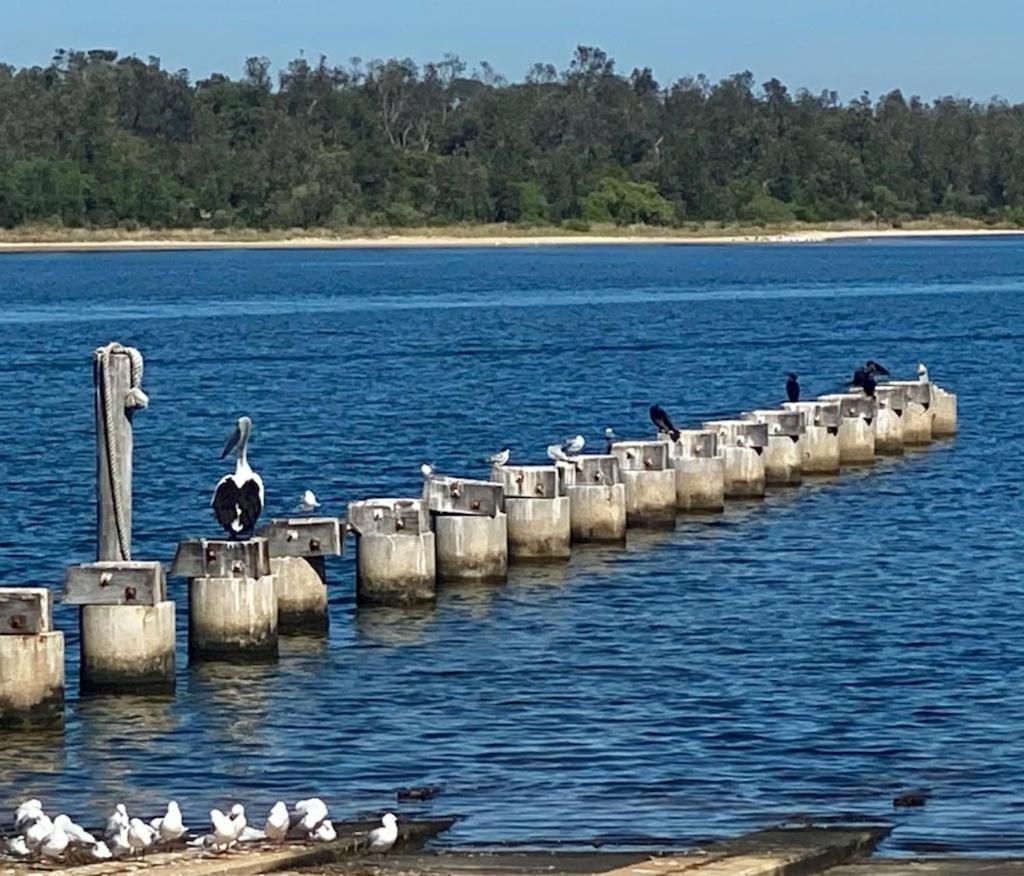 Sandbar Motel Lakes Entrance Εξωτερικό φωτογραφία
